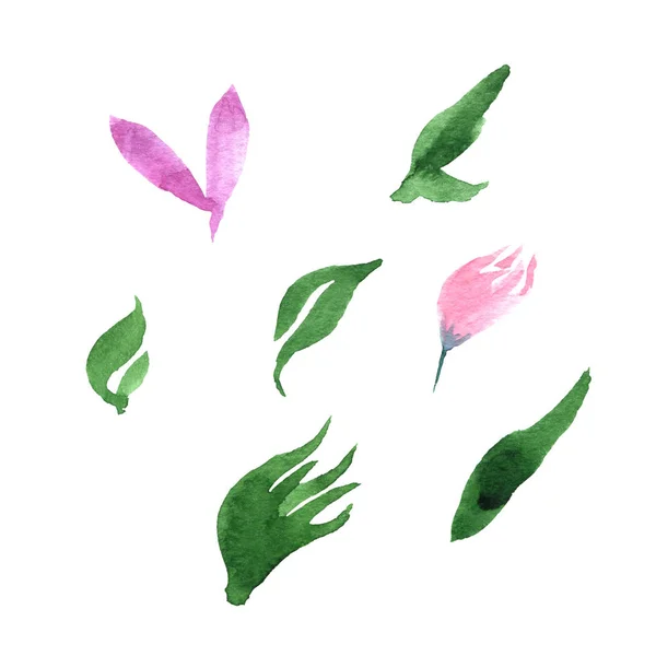 Akvarell uppsättning blommor och lämnar en vit bakgrund. Perfekt för design för mors dag, womens dag, bröllop, spara datum, kort, semester — Stockfoto