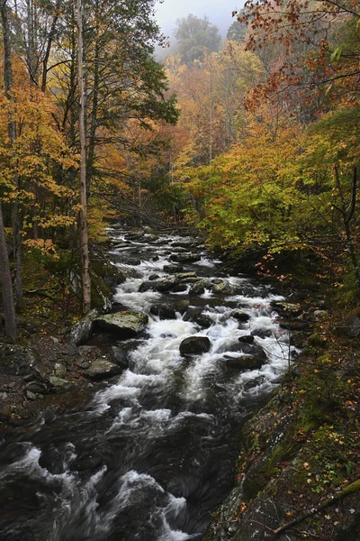 Velkou Kaskádu Little River Holub Great Smoky Mountains National Park — Stock fotografie