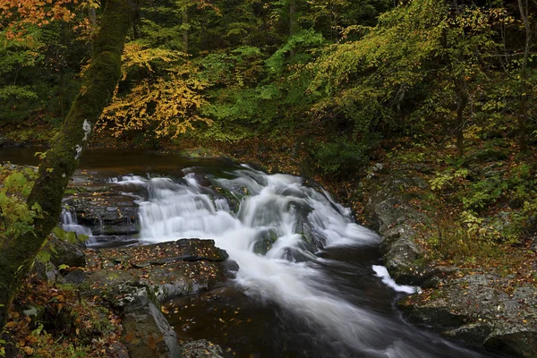 Kaskády Řece Malého Holuba Cades Zátoka Great Smoky Mountains National — Stock fotografie