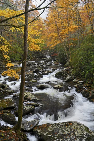 Kaskád Malým Vodopádem Střední Kolík Litttle Holub Řeky Great Smoky — Stock fotografie