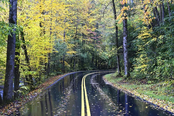 Una Strada Autunnale Great Smoky Mountains Offre Una Splendida Vista — Foto Stock