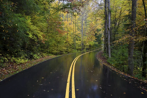 Autumn Road Great Smoky Mountains Provides Beautiful View Appalachian Fall — Stock Photo, Image