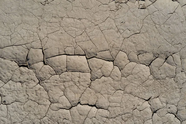 Texture of dried clay — Stock Photo, Image