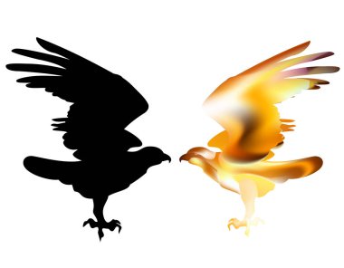 Ateş kuşu kartal güç ve özgürlük sembolü olarak uçuş.