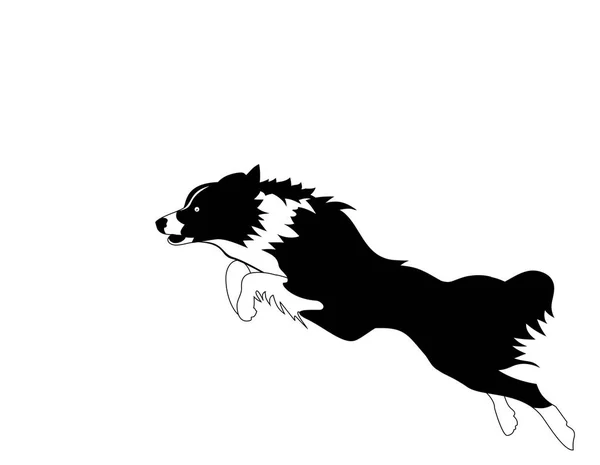 Juguetón Animal Joven Perro Jugando Corriendo — Archivo Imágenes Vectoriales