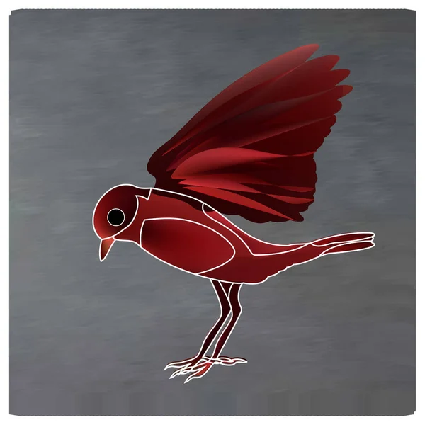 Pájaro Paseriforme Raro Saxicola Insignis Con Abdomen Rojo — Vector de stock