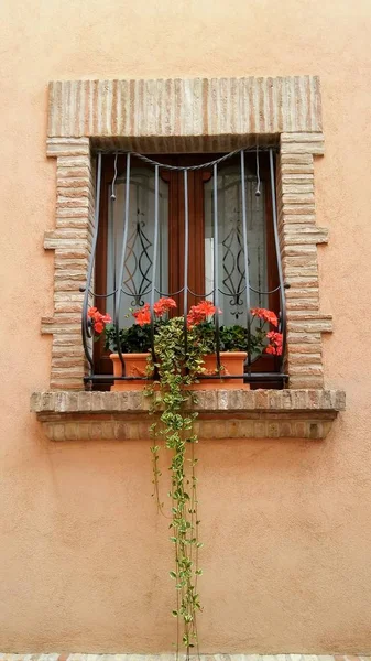 Tencere Çeşitli Çiçekler Evin Etrafında Tasarım Talyan Avlusu — Stok fotoğraf