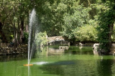 Sevilla, İspanya - 8 Mayıs 2017: Güzel göllerde Maria Luisa Park Endülüs başkentinde, İspanya Sevilla, su kuşları