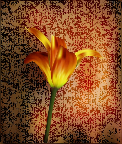 Golden Tulip Στο Ηλιοβασίλεμα Δώρο Για Τις Γιορτές Και Πανηγύρια — Διανυσματικό Αρχείο