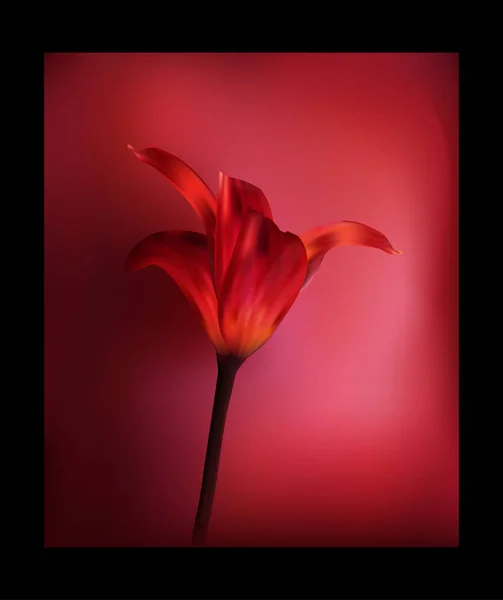 Golden Tulip Zonsondergang Cadeau Voor Feestdagen Vieringen Close — Stockvector