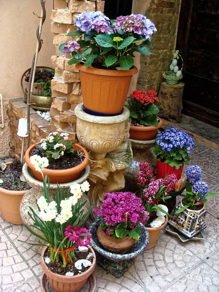 Verschiedene Blumen Töpfen Hause Gestaltung Italienischer Innenhöfe Rund Das Haus — Stockfoto