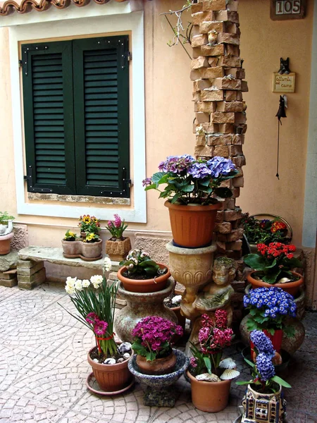 Domů Různé Květiny Květináčích Design Italských Nádvoří Celém Domě — Stock fotografie