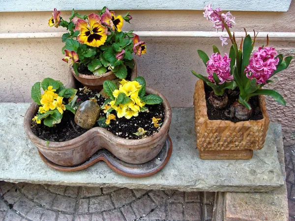 Casa Várias Flores Vasos Projete Pátios Italianos Redor Casa — Fotografia de Stock