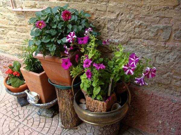 Casa Várias Flores Vasos Projete Pátios Italianos Redor Casa — Fotografia de Stock