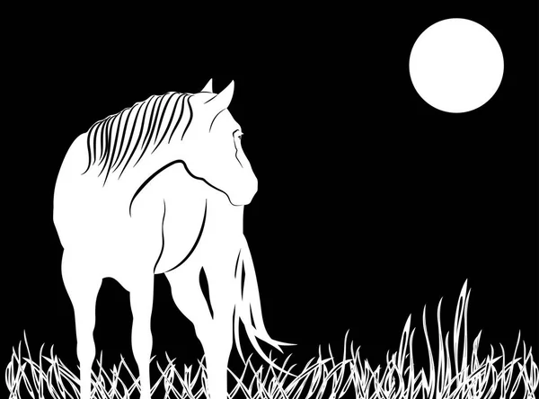 Sylwetka pięknych koni arabskich. czarno-białe — Wektor stockowy