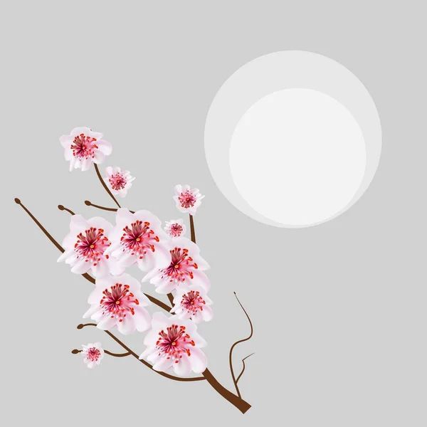 Flores de sakura de flor de cerezo rosa en vestido y pelo de niña. Japonés — Vector de stock