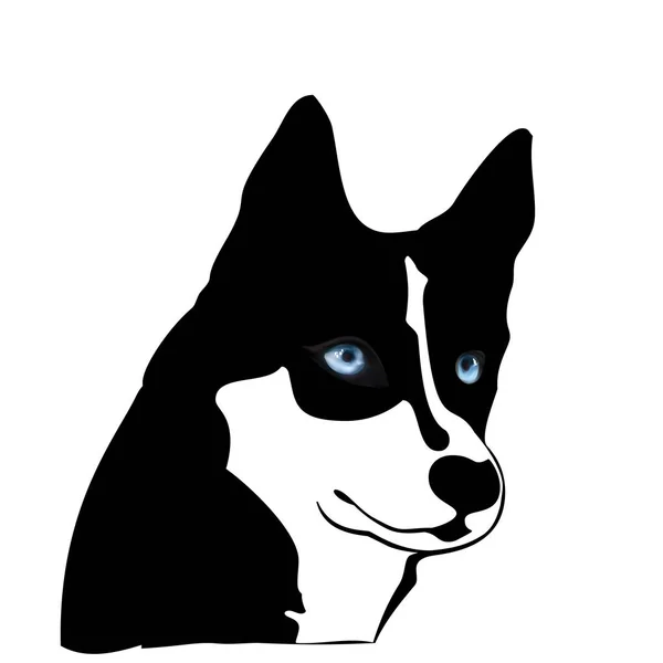 シルエット漫画的な大きな黒と白の犬。青い目を持つ犬の北方. — ストックベクタ