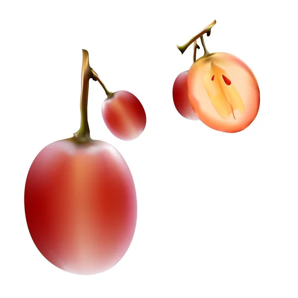 Bayas maduras brillantes de uvas rojas — Vector de stock