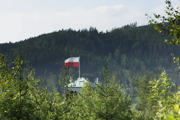 Польша Белый Красный Флаг Над Башней Лыжного Трамплина Висла Малинка — стоковое фото