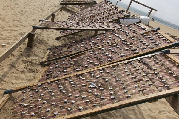 Poissons Couchés Sur Des Filets Séchés Soleil Sur Plage Nazare — Photo