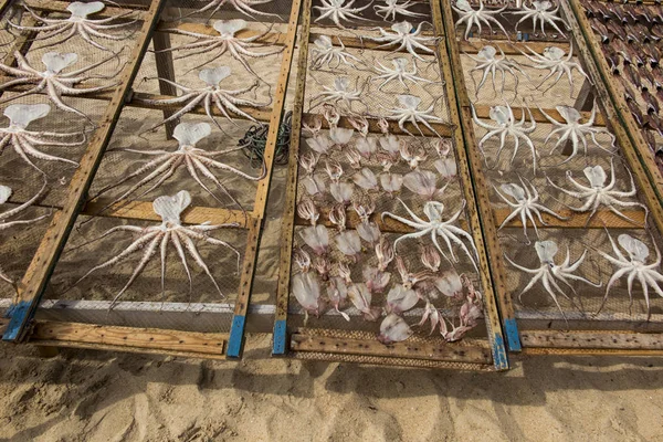 Trocknen Von Meeresfrüchten Der Sonne Auf Sand Strand Nazare Portugiesisch — Stockfoto