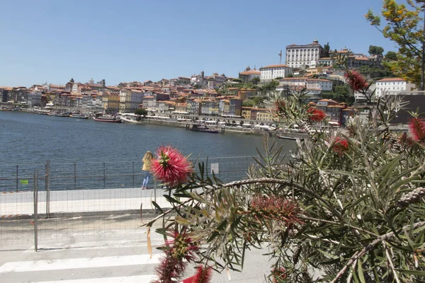 Panorama Över Dourofloden Och Porto Skyline Porto Portugal — Stockfoto
