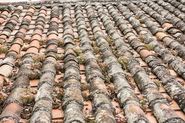 Charakteristische Rote Kacheln Der Alten Mittelalterlichen Portugiesischen Stadt Obidos Als — Stockfoto