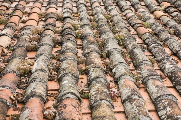 Charakteristische Rote Kacheln Der Alten Mittelalterlichen Portugiesischen Stadt Obidos Als — Stockfoto