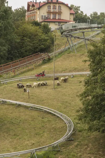 Gravitational Slide Year Toboggan Run Mount Anne Next Opole Poland — Stock Photo, Image