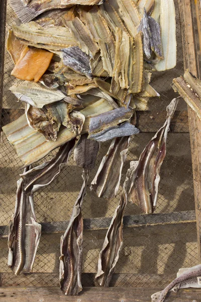 Fish Lying Nets Dried Sun Beach Nazare Poryugalia Backdrop — Stock Photo, Image