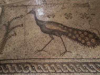 Tabgha, İsrail 9 Temmuz 2015: ilk beslenme Capernaum, İsrail yakınındaki Tabgha, çok sayıda in Kilisesi'nin iç