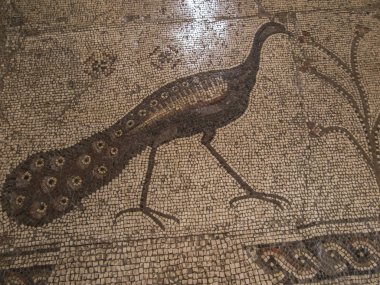 Tabgha, İsrail 9 Temmuz 2015: ilk beslenme Capernaum, İsrail yakınındaki Tabgha, çok sayıda in Kilisesi'nin iç