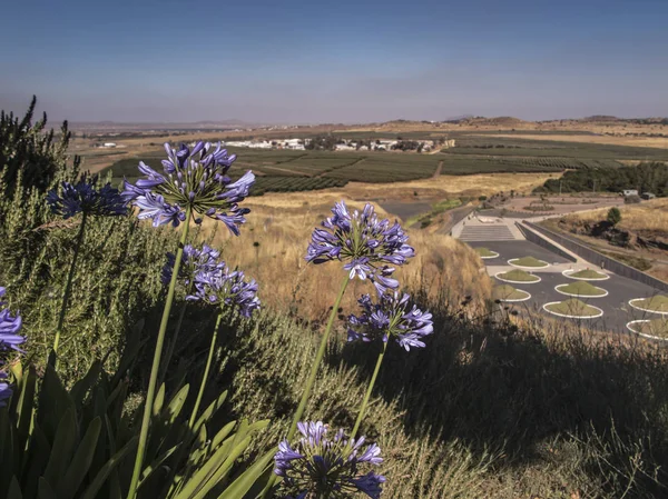 Golan Volkanik Park Avital Srail 2013 Yılında Srail Golan Tepeleri — Stok fotoğraf