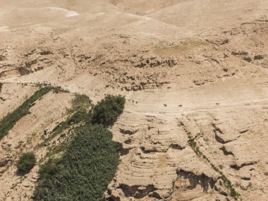 Judaean çöl Negeb-kutsal topraklar, İsrail