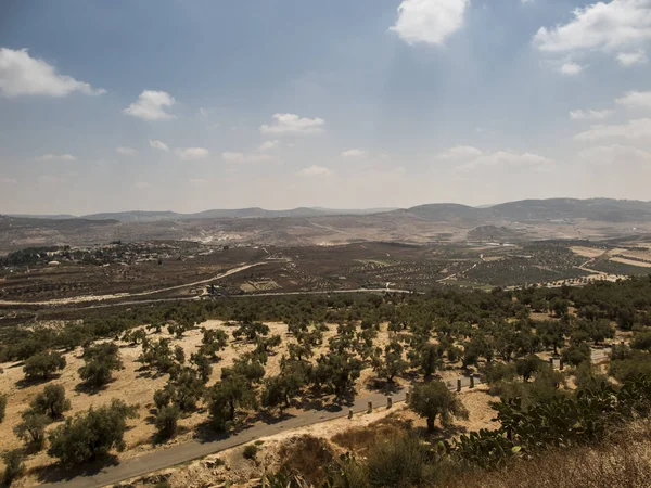 Sıvas, eski İsrail, kalıntıları ve Filistin Kazıları. Smaria