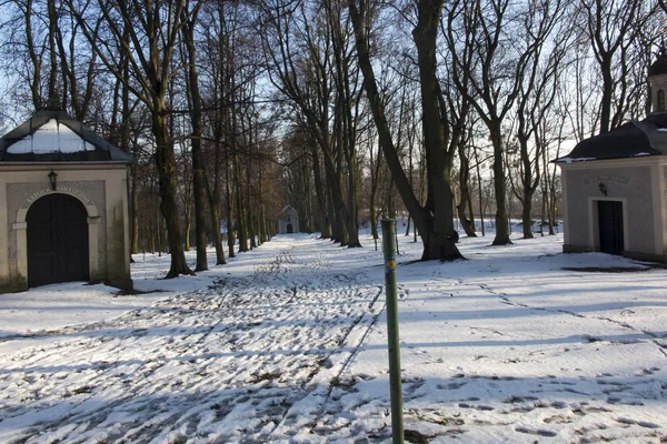 Паломницький маршрут Каміно-де-Сантьяго, що веде до собору — стокове фото