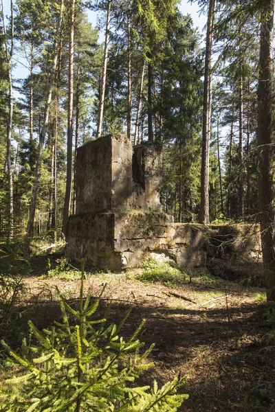 Остатки шахты Бибела - Пасиеки, затонувшей в 191 году — стоковое фото