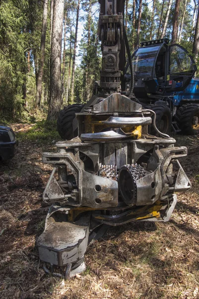 Skogs skördare under ett stopp bland träden — Stockfoto