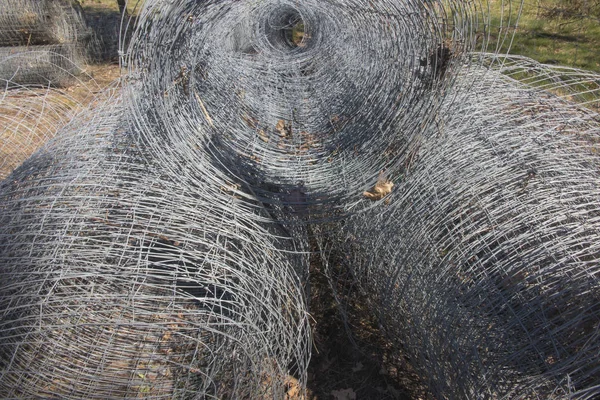動物に対する森林作物のフェンスに使われるワイヤーメッシュ — ストック写真
