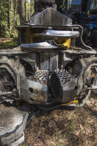 Raccoglitore forestale durante un arresto tra gli alberi — Foto Stock