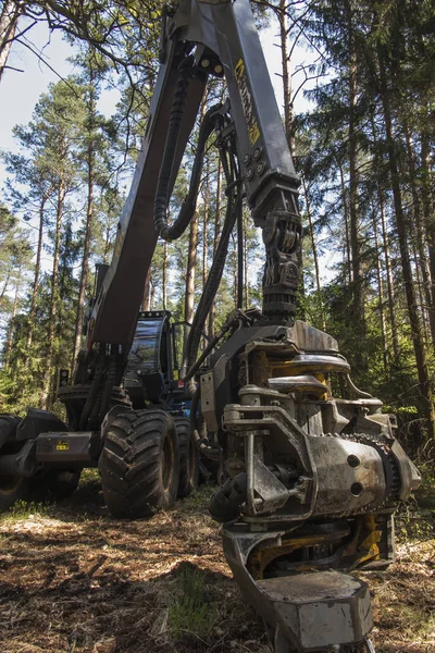 Skogs skördare under ett stopp bland träden — Stockfoto