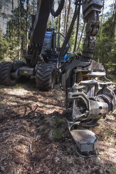 Récolteuse forestière lors d'un arrêt parmi les arbres — Photo