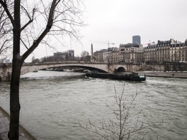 Notre Dame Katedrali yakınlarındaki Seine Nehri üzerinde Cruise gemi 