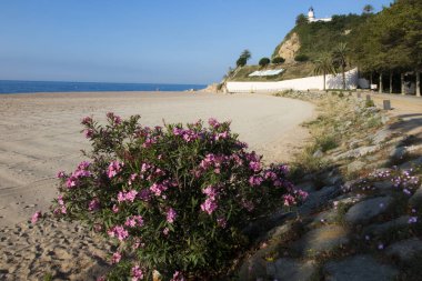 Barselona yakınlarındaki Akdeniz'de Calella Beach