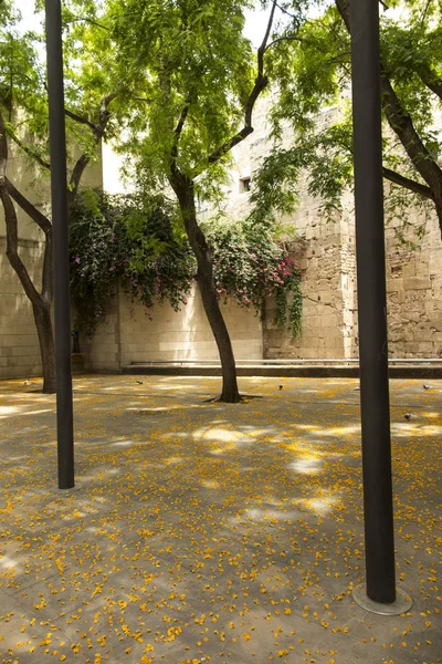 Čtverec mezi domy pokrytou žlutými plátky květin — Stock fotografie