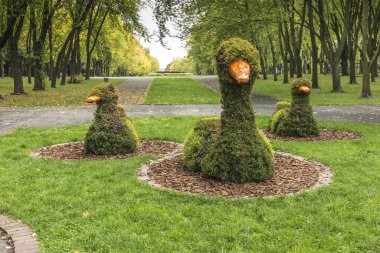 Çimenlikteki ördekler kablodan yapılmış ve bitkiler ekilmiş. Silezya Parkı