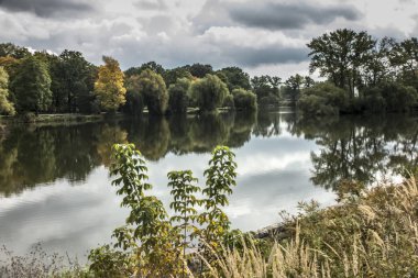 Chorzow 'daki Silesian Park' ta doğanın bir parçası.
