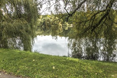 Chorzow 'daki Silesian Park' ta doğanın bir parçası.