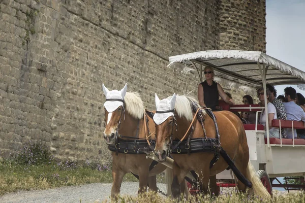 Carcassonne, France June 25, 2019: Tourists ride on a horse-draw — Stock Photo, Image