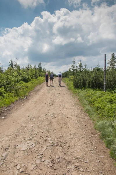 2020年7月4日 波兰Skrzyczne 沿着Silesian Beskids 山脉靠近Skrzyczne峰的山路徒步旅行 — 图库照片